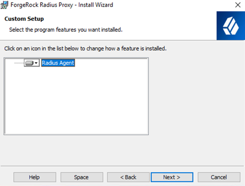 install radius proxy custom setup next screen