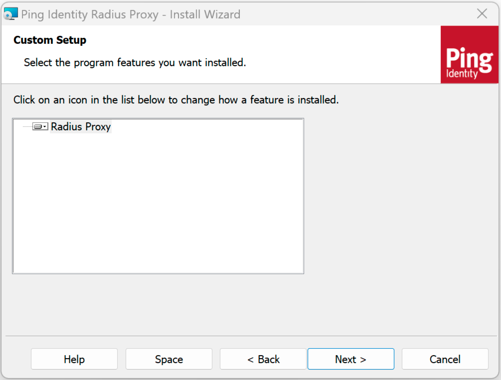 Radius proxy application custom setup next screen