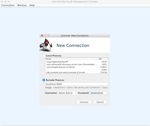 A screen capture of the JConsole: New Connection window for connecting through a remote process.