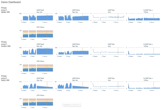 Screen capture illustrating the Demo Dashboard in the Ping Data Metrics server.