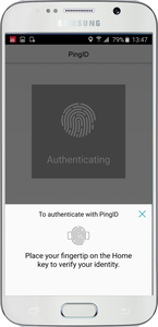 A screen capture of the authentication screen requesting your fingerprint scan.