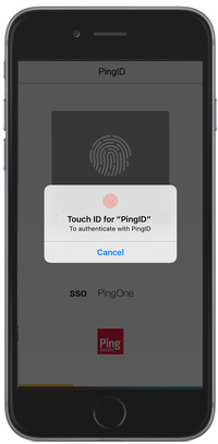 A screen capture of the PingID message prompting you to authenticate with your biometrics.