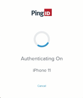 A screen capture of the Authenticating On…​ window.