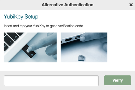 A screen capture of the Alternative Authentication window, prompting the YubiKey Setup authentication.