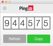 A screen capture of a one-time password generated by the PingID desktop app.