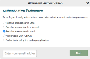 A screen capture of the Alternative Authentication window, displaying the Authentication Preference options.