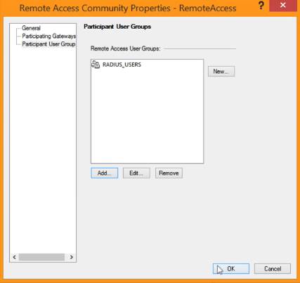 A screen capture of the Participant User Groups window. A list of current Remote Access User Groups is shown with the New button to the right and the Add, Edit, and Remove buttons underneath.