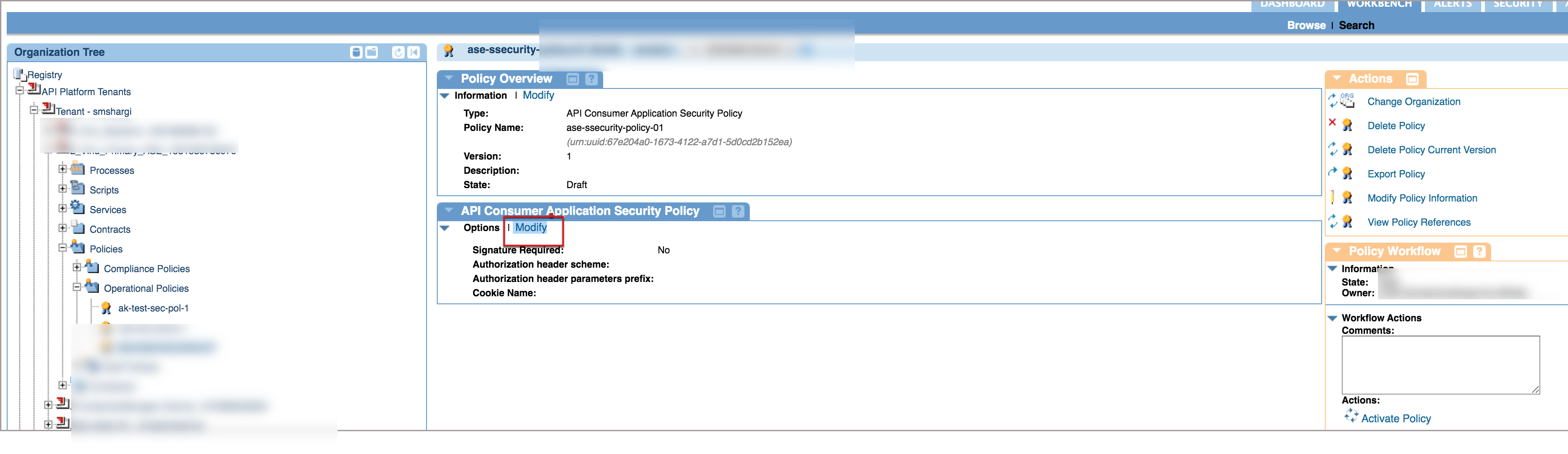 A screenshot of the policy API Consumer Application Security Policy section