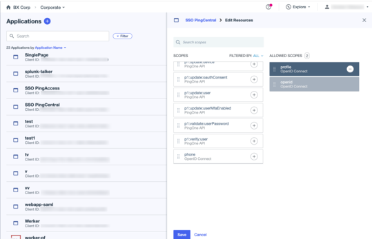 A screen capture of the edit resources panel showing the profile scopes in the list of allowed scopes.