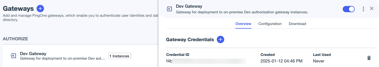 A screen capture of a connected gateway instance in PingOne.