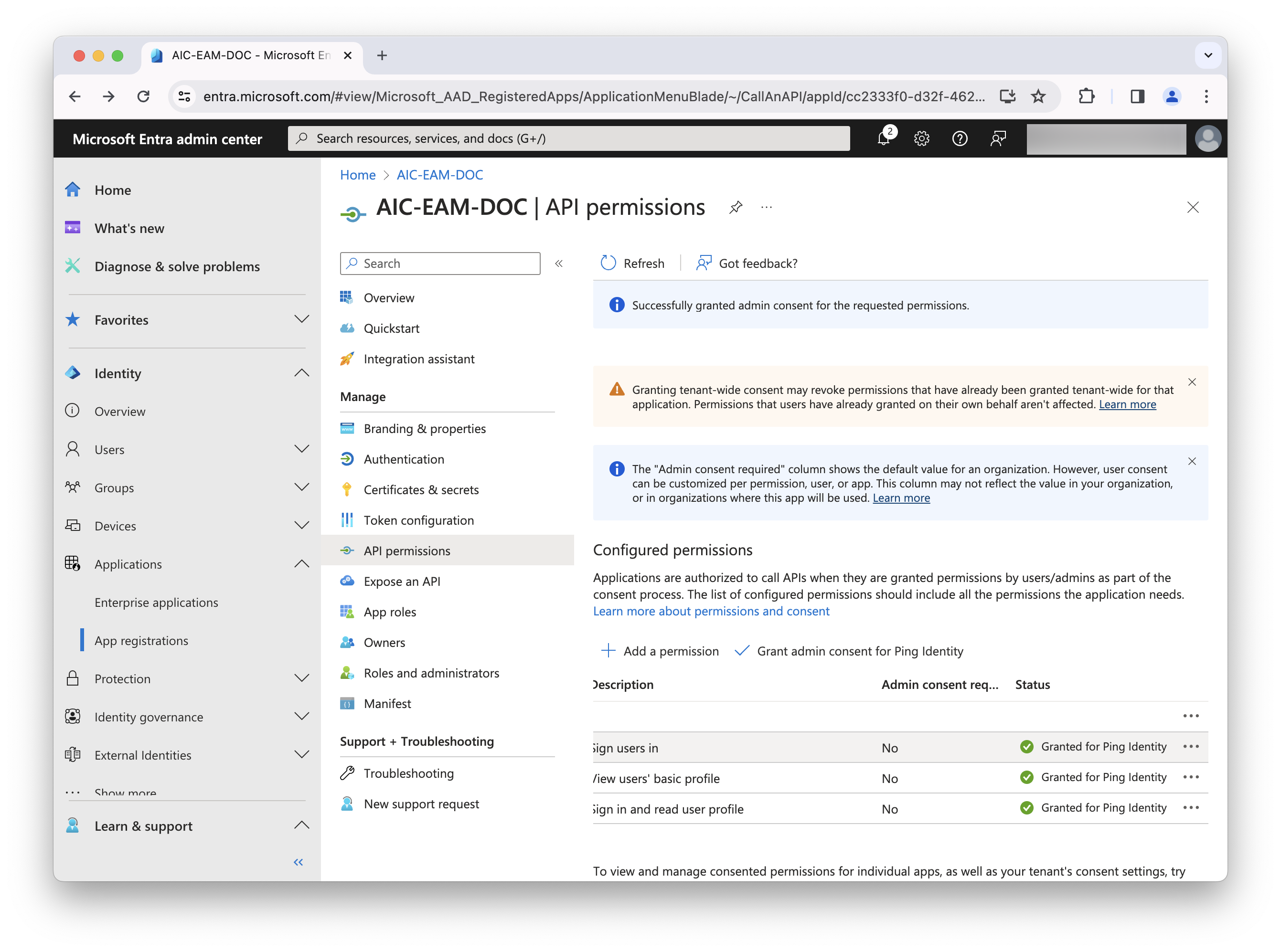 Delegated Permissions after grant successful with checks