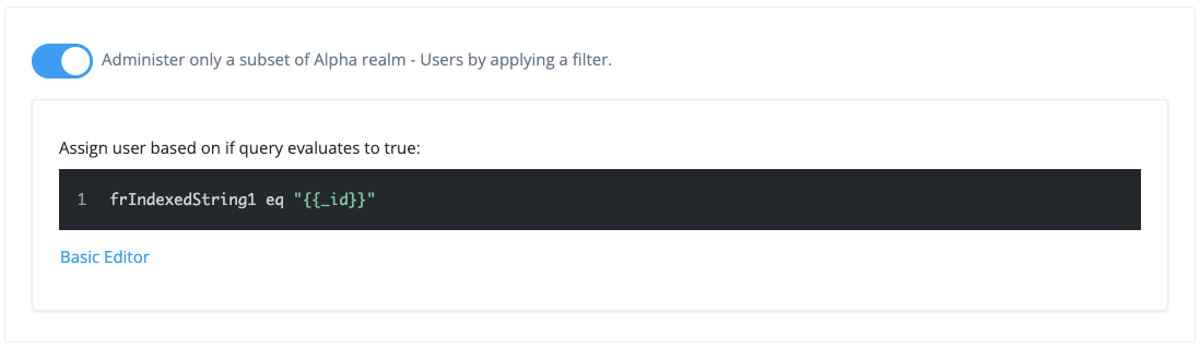 Internal role permissions query expression